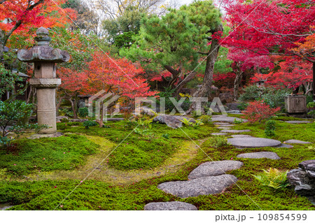 秋の旧林家住宅と庭園〈愛知県一宮市〉 109854599