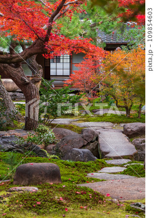 秋の旧林家住宅と庭園〈愛知県一宮市〉 109854603