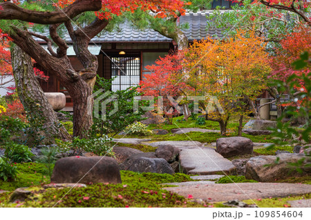秋の旧林家住宅と庭園〈愛知県一宮市〉 109854604