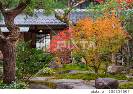 秋の旧林家住宅と庭園〈愛知県一宮市〉 秋の旧林家住宅と庭園〈愛知県一宮市〉 109854607