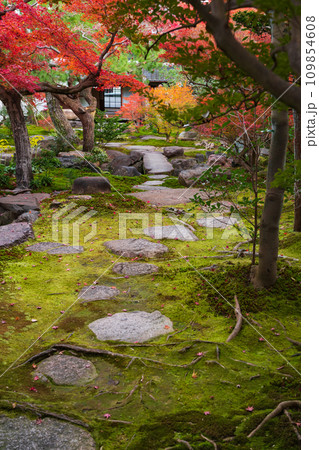 秋の旧林家住宅と庭園〈愛知県一宮市〉 秋の旧林家住宅と庭園〈愛知県一宮市〉 109854608