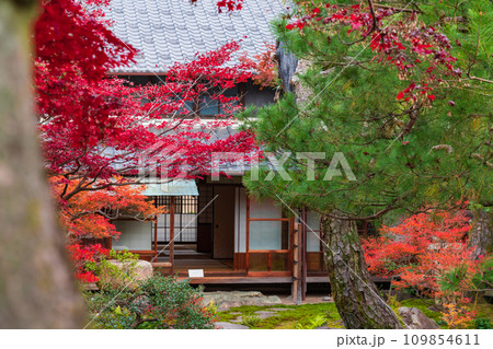 秋の旧林家住宅と庭園〈愛知県一宮市〉 秋の旧林家住宅と庭園〈愛知県一宮市〉 109854611