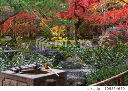 秋の旧林家住宅と庭園〈愛知県一宮市〉 秋の旧林家住宅と庭園〈愛知県一宮市〉 109854620