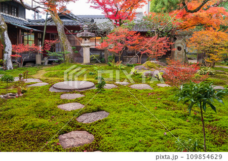 秋の旧林家住宅と庭園〈愛知県一宮市〉 秋の旧林家住宅と庭園〈愛知県一宮市〉 109854629