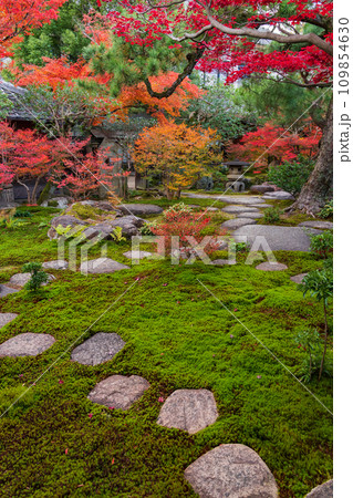 秋の旧林家住宅と庭園〈愛知県一宮市〉 109854630