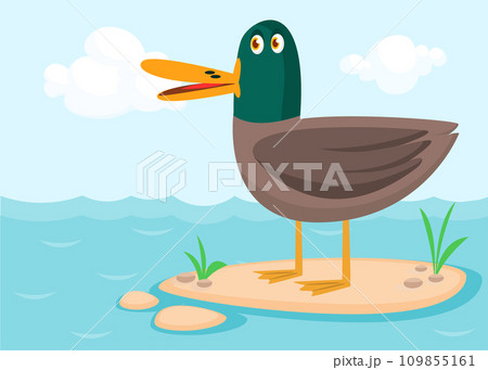 Cartoon cute duck bird standing in the water lake. Farm bird illustration Cartoon cute duck bird standing in the water lake. Farm bird illustration 109855161