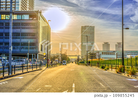 東京都江東区の都市風景　有明テニスの森駅 109855245