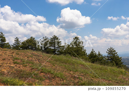 View of trees, meadow and amazing blue cloudy sky at Divcibare mountain in Serbia View of trees, meadow and amazing blue cloudy sky at Divcibare mountain in Serbia 109855270