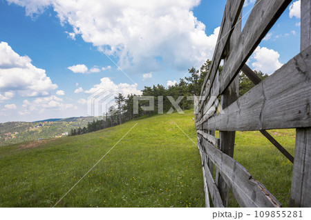 View of the wooden fence, meadow and amazing blue cloudy sky View of the wooden fence, meadow and amazing blue cloudy sky 109855281