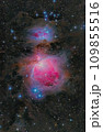オリオン大星雲 109855516