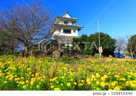 【佐賀県】快晴の竹崎城とマリーゴールド 109855840