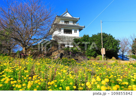 【佐賀県】快晴の竹崎城とマリーゴールド 109855842
