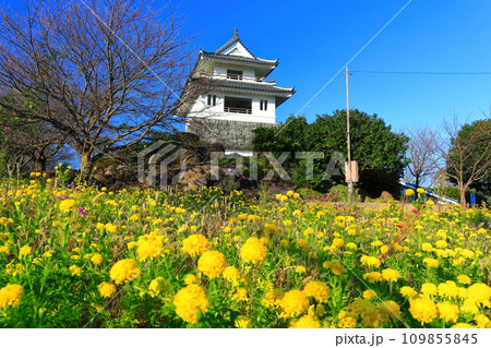 【佐賀県】快晴の竹崎城とマリーゴールド 109855845