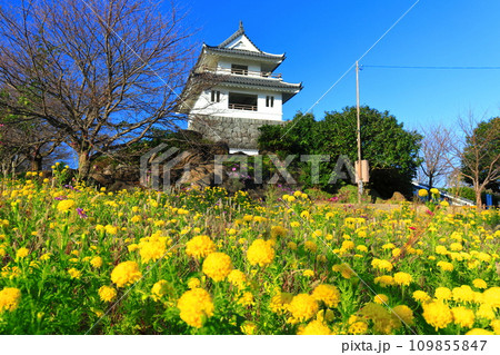 【佐賀県】快晴の竹崎城とマリーゴールド 109855847