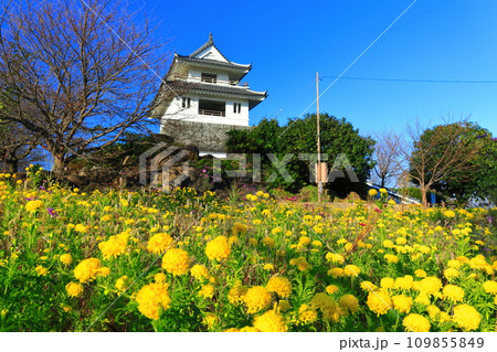 【佐賀県】快晴の竹崎城とマリーゴールド 109855849