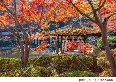 和歌山城の西之丸庭園 紅葉の鳶魚閣 和歌山城の西之丸庭園 紅葉の鳶魚閣 109855866