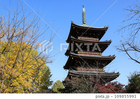 上野恩賜公園　旧寛永寺五重塔 01 109855991