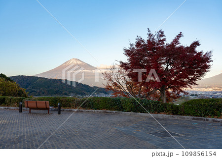 富士川SA(下り)富士山展望デッキから見る紅葉と富士山 静岡県 富士市 富士川SA(下り)富士山展望デッキから見る紅葉と富士山 静岡県 富士市 109856154