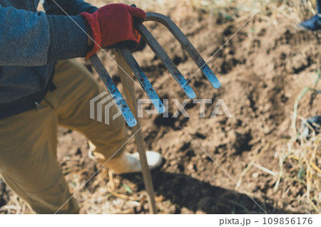 vegetable field 109856176