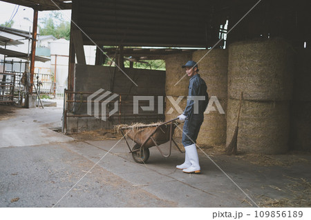 ranch ranch 109856189