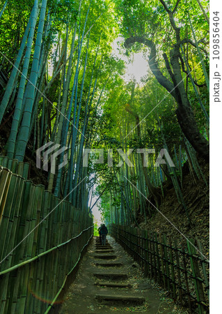 千葉県 佐倉市 サムライの古径(こみち)ひよどり坂 千葉県 佐倉市 サムライの古径(こみち)ひよどり坂 109856404