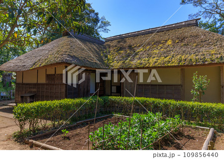 千葉県 佐倉市 佐倉武家屋敷 旧但馬家住宅 千葉県 佐倉市 佐倉武家屋敷 旧但馬家住宅 109856440