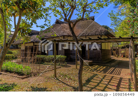 千葉県　佐倉市　佐倉武家屋敷　旧河原家住宅 109856449