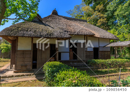 千葉県 佐倉市 佐倉武家屋敷 旧河原家住宅 千葉県 佐倉市 佐倉武家屋敷 旧河原家住宅 109856450