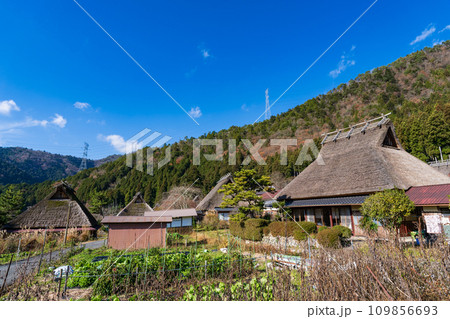 晩秋の青空に映える美山の茅葺民家 京都府南丹市 晩秋の青空に映える美山の茅葺民家 京都府南丹市 109856693