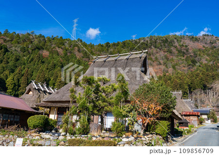 晩秋の青空に映える美山の茅葺民家　京都府南丹市 109856709