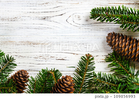 Christmas background. tree branches with cones Copy space Christmas background. tree branches with cones Copy space 109856993