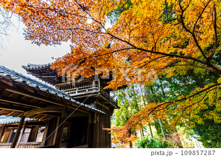 天祐寺の紅葉 【長崎県諫早市】 天祐寺の紅葉 【長崎県諫早市】 109857287