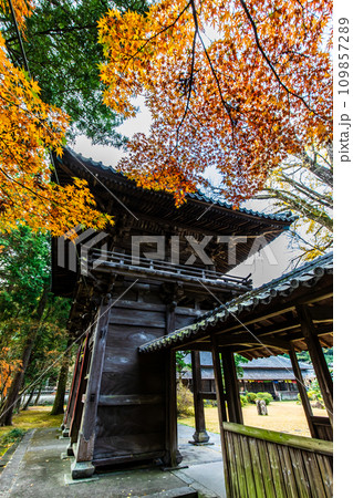 天祐寺の紅葉 【長崎県諫早市】 天祐寺の紅葉 【長崎県諫早市】 109857289