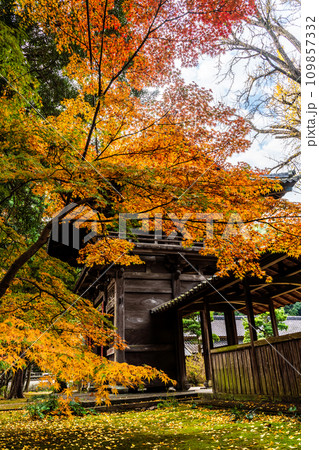 天祐寺の紅葉　【長崎県諫早市】 109857332