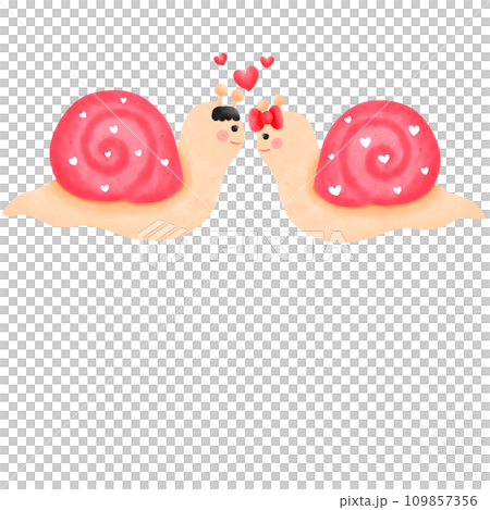 Snail couple snail 109857356