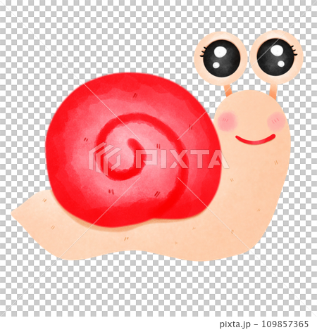 Snail couple snail 109857365