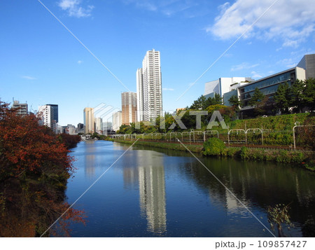 新見附橋から見る牛込濠 109857427