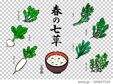 Handwritten style illustration set of Nanakusa porridge and spring Nanakusa 109857519