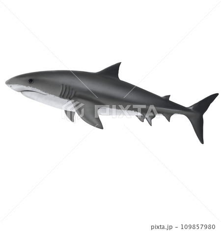 illustration of a shark swiming in the ocean illustration of a shark swiming in the ocean 109857980
