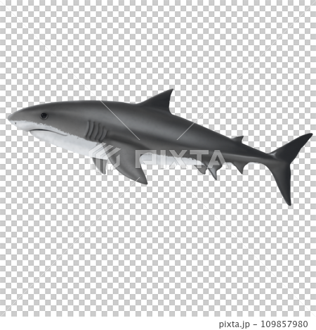 illustration of a shark swiming in the ocean 109857980