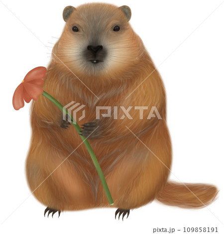 Groundhog Day, perfect for celebrating both winter and the impending arrival of spring. Ready to predict the seasons with charm, whether amidst the cold or as the leaves begin to flourish. 109858191