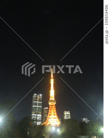 東京タワーの夜景 109858486