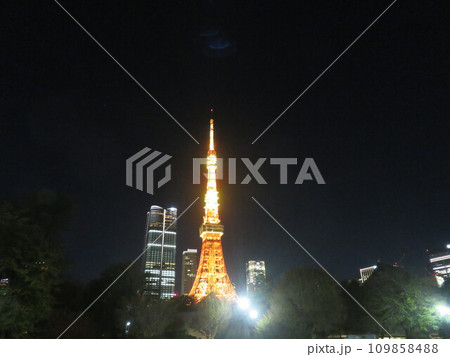 東京タワーの夜景 109858488