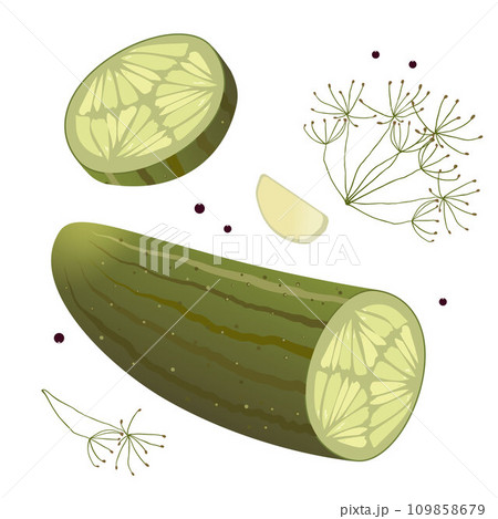 slices of pickled cucumber on a white background 109858679
