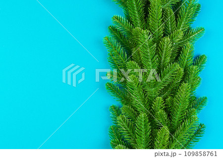 Top view of colorful background made of green fir tree branches. New year holiday concept with copy space Top view of colorful background made of green fir tree branches. New year holiday concept with copy space 109858761