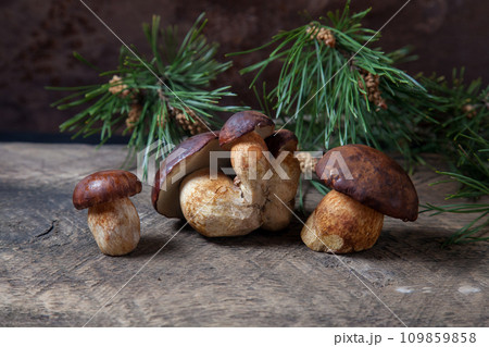 A lot of Imleria Badia or Boletus badius mushrooms commonly known as the bay bolete on vintage wooden background.. 109859858