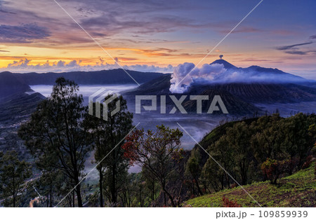 ブロモ山の朝 109859939
