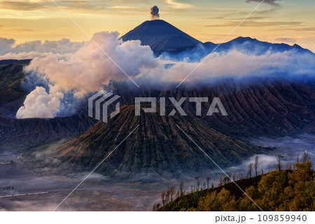 ブロモ山の朝 109859940