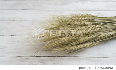 小麦の穂・麦穂 小麦の穂・麦穂 109860098