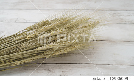 小麦の穂・麦穂 109860099